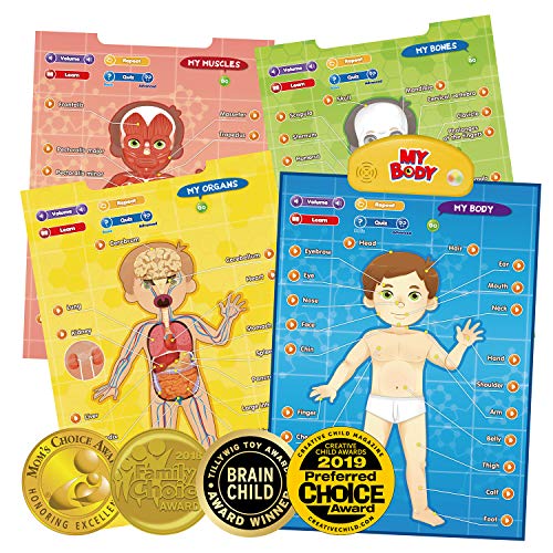 Interactive Human Anatomy Poster Game for Kids – Learn Body Parts & Functions